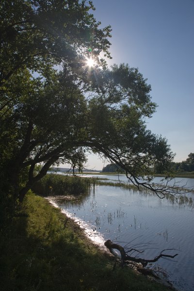 Nesyt – největší rybník na Moravě a 5. v ČR