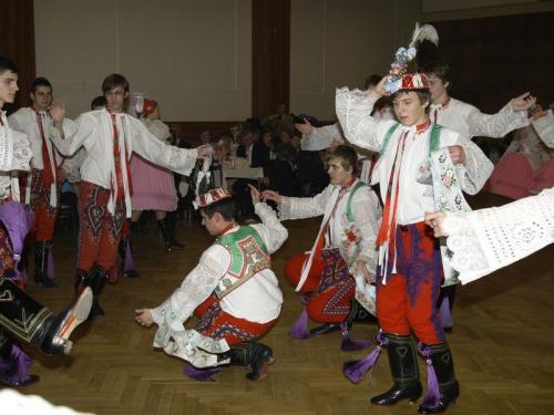 Krojový ples - 29.1.2011